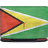 Guyana Flag Distressed Legion Y720 Skin